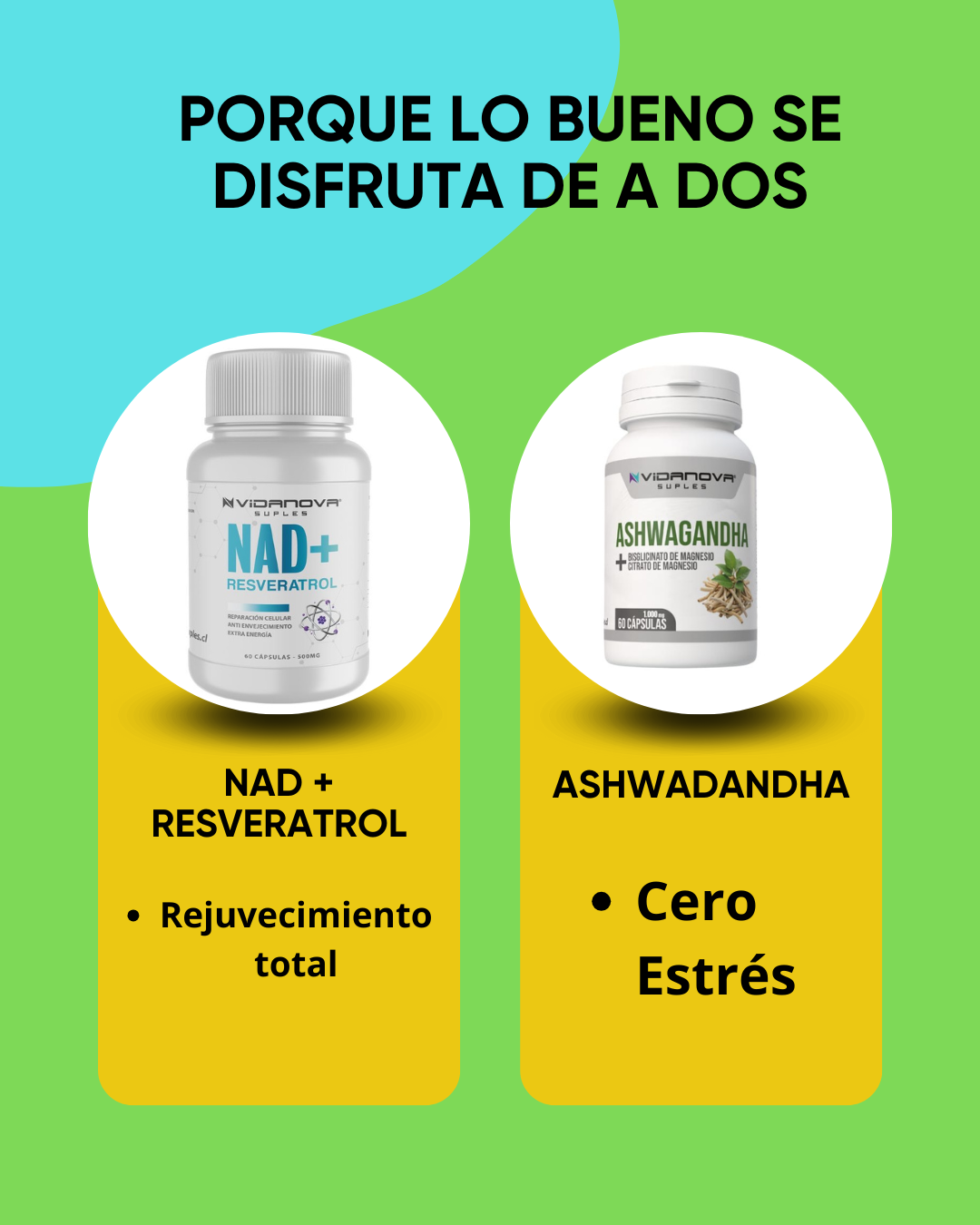 ✨ “Energía Celular y Equilibrio Natural en un Solo Pack”